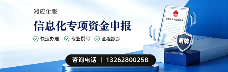 邢台信息化专项资金申报服务
