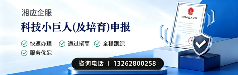 邢台科技小巨人及培育企业申报服务
