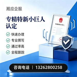 邢台专精特新小巨人申报服务