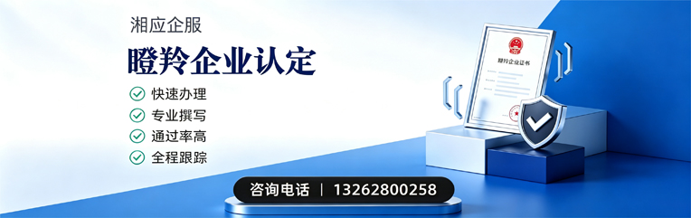 邢台瞪羚企业认定申报服务