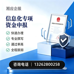 邢台信息化专项资金申报服务