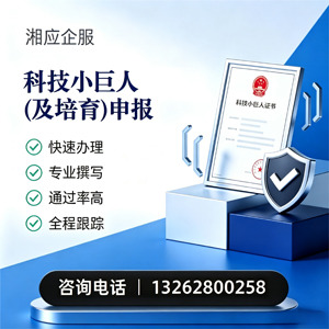 邢台科技小巨人及培育企业申报服务