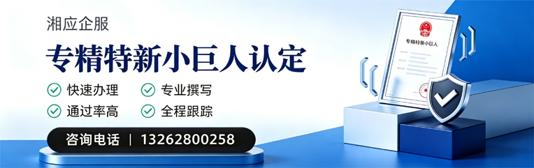 邢台专精特新小巨人申报服务
